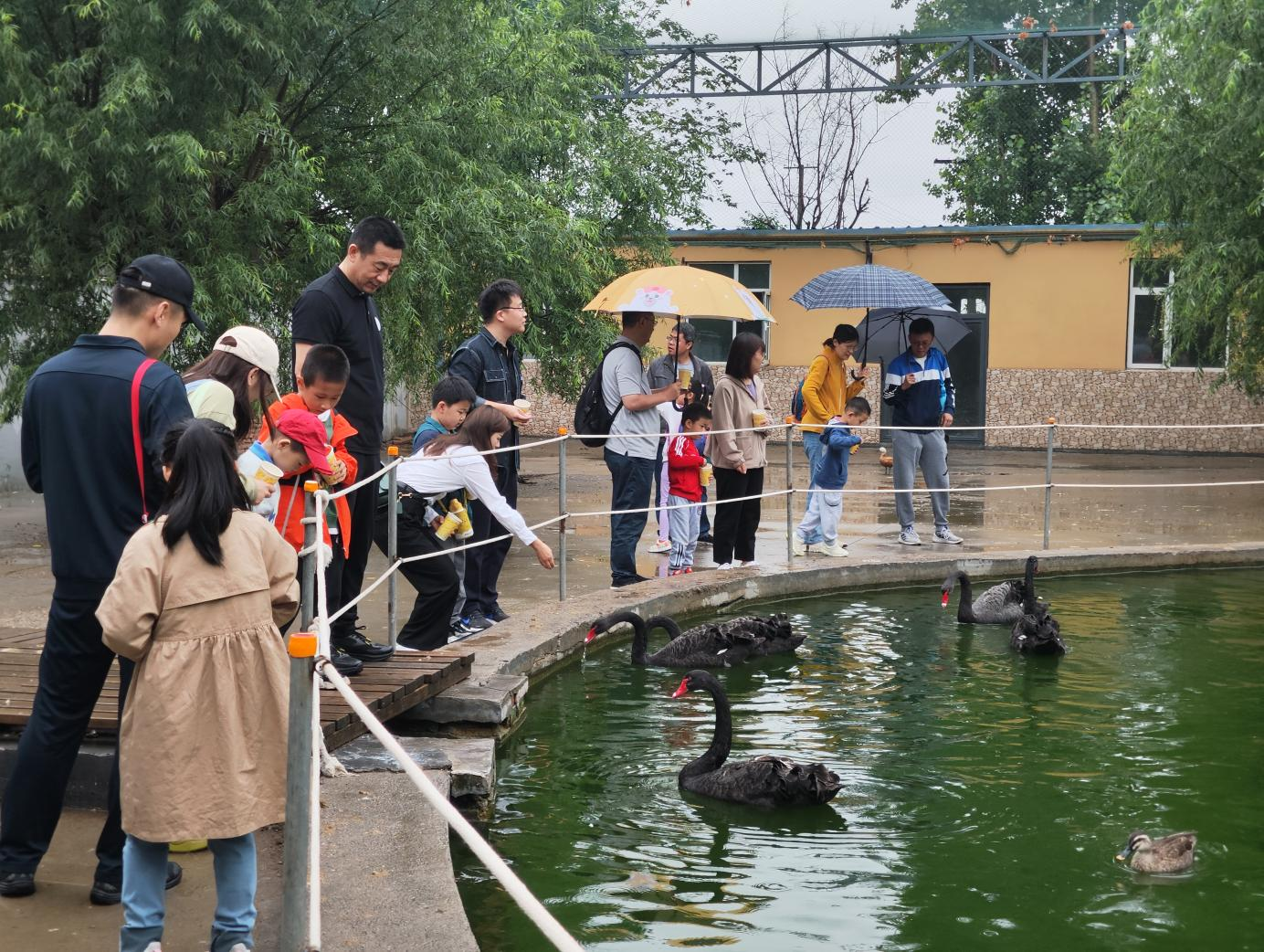 德赢·(VWIN)官方网站-AC米兰官方相助同伴